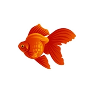 Ryukin Goldfish